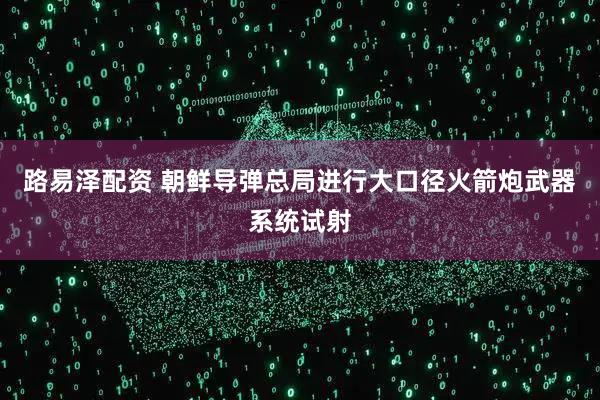 路易泽配资 朝鲜导弹总局进行大口径火箭炮武器系统试射