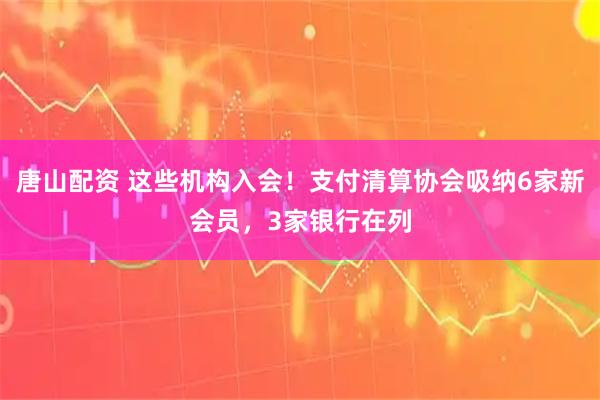 唐山配资 这些机构入会！支付清算协会吸纳6家新会员，3家银行在列