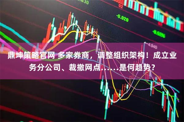 鼎坤策略官网 多家券商，调整组织架构！成立业务分公司、裁撤网点……是何趋势？